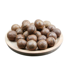 Big Size Roasted Macadamia Nuts In Shell